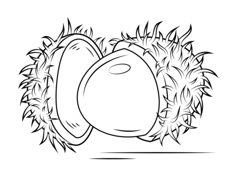 Open Rambutan Coloring Page